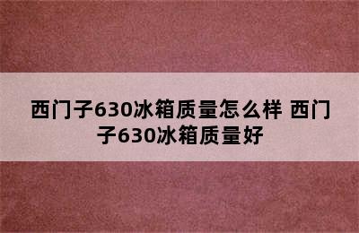 西门子630冰箱质量怎么样 西门子630冰箱质量好